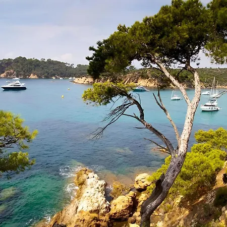 Apartment Escale Toulonnaise - Cosy, Calme & Bien Situe Toulon